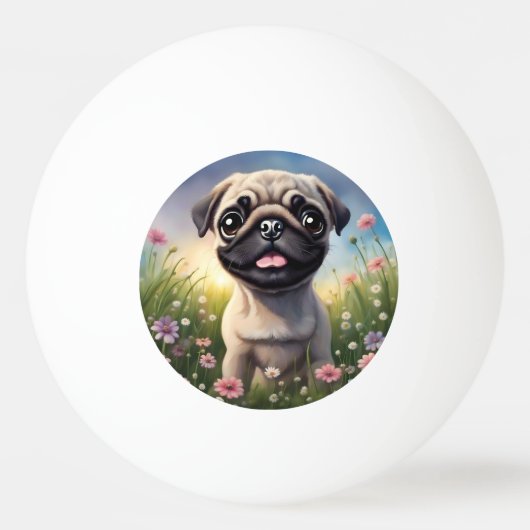 Ping Pug Ball (Voorkant)