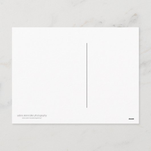 Pingouin ・ Carte postale de Noël (Dos)