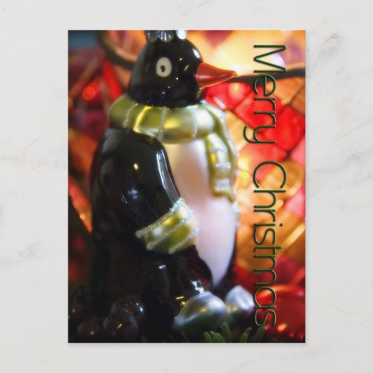 Pingouin ・ Carte postale de Noël (Devant)