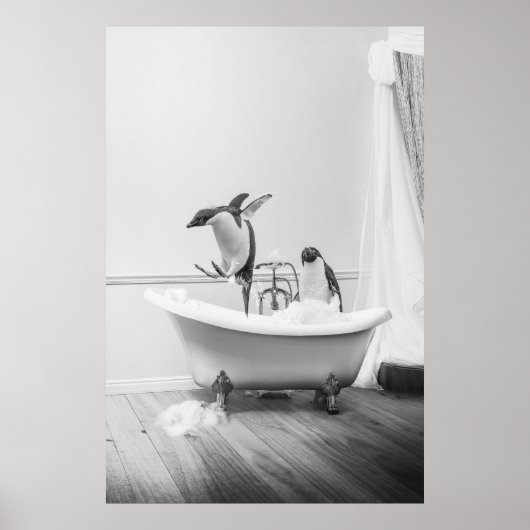 Pingouin dans la baignoire Poster (Devant)