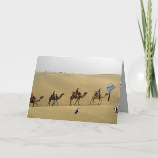 Pingouin dans la carte de désert (Devant)