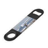 Pingouin devant une arche de glace (Devant angulaire)