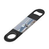 Pingouin devant une arche de glace (Dos Angle)