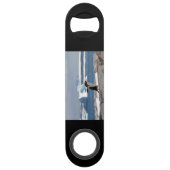 Pingouin devant une arche de glace (Devant)