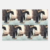 Pingouin - Enveloppement de feuilles de papier (Devant 2)