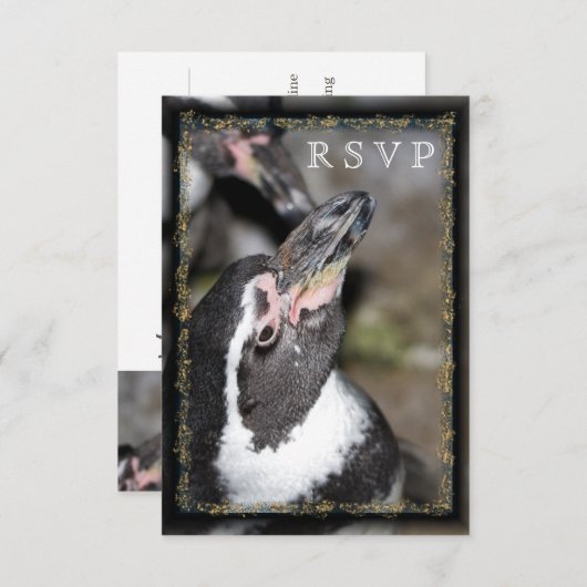 Pingouin Photo Zoo Mariage Cartes RSVP (Devant / Derrière)