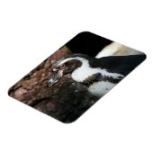 Pingouin Premium Magnet (Côté Gauche)