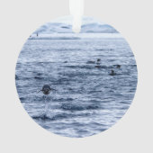 Pingouin volant (dos)