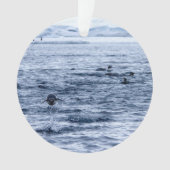 Pingouin volant (devant)