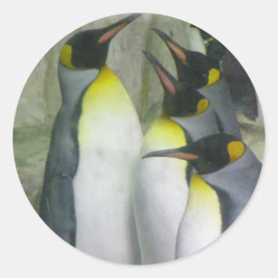 pingouins, autocollants