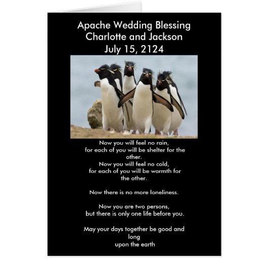 Pingouins Bénédiction Mariage Apache (Devant)