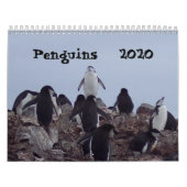 Pingouins - Calendrier 2020 (Protection)