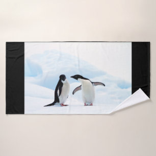 Pingouins d'Adelie