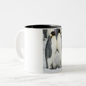 Pingouins d'empereur avec le poussin - tasse (Devant gauche)
