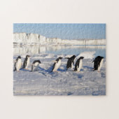 Pingouins Jeu Puzzle (Horizontal)
