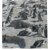 Pingouins mignons sur le rideau en douche de plage (Devant)