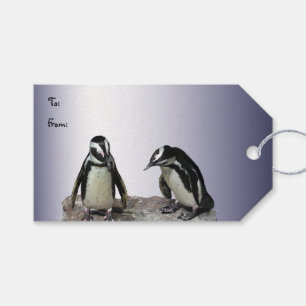 Pingouins Pack de étiquettes cadeaux