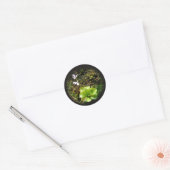 Pinguicula reticulata ronde sticker (Envelop)