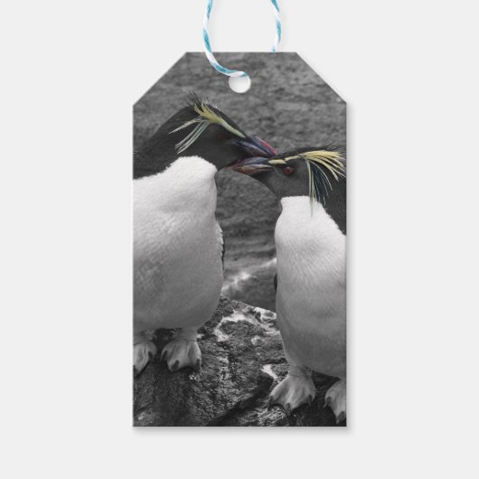 Pinguïkleurensplash Cadeaulabel (Voorkant)