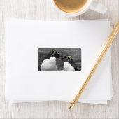Pinguïkleurensplash Etiket (Insitu)