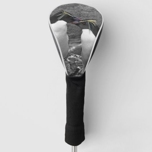 Pinguïkleurensplash Golfheadcover (Voorkant)