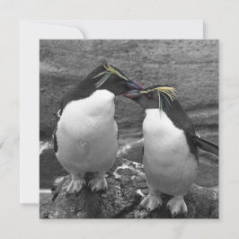 Pinguïkleurensplash Save The Date