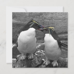 Pinguïkleurensplash Save The Date