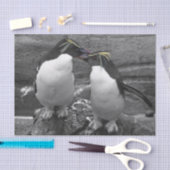Pinguïkleurensplash Tissuepapier (Craft)
