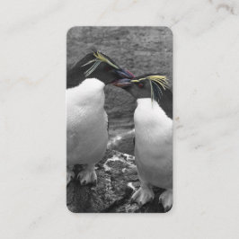 Pinguïkleurensplash Visitekaartje