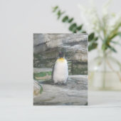 Pinguïn Briefkaart (Staand voorkant)