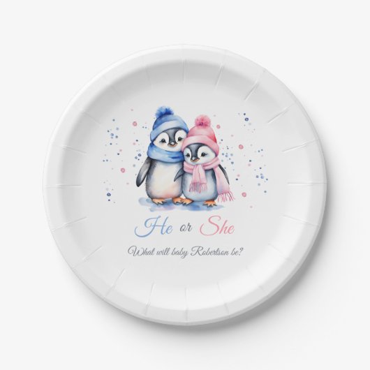 Pinguïn Gender Onthullen Hij of Zij Winter Baby sh Papieren Bordje (Voorkant)