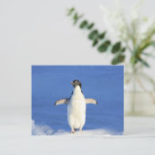 pinguïn happy dance hug briefkaart (Staand voorkant)