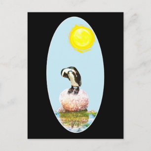 Pinguïn in de zon briefkaart