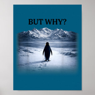 Pinguïn maar waarom gaat het richting de bergen pi poster