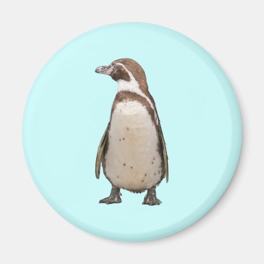 Pinguïn Magneet (Voorkant)