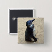 Pinguïn op zand vierkante button 5,1 cm (Voorkant /achterkant)