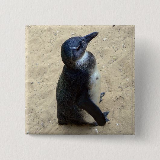 Pinguïn op zand vierkante button 5,1 cm (Voorkant)