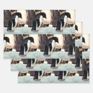 Pinguïn - papierbladen voor onmiddellijke verpakki inpakpapier vel