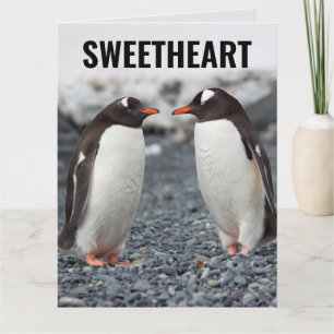 PINGUÏN ROMANTISCHE VERJAARDAG GROOT WENSKAART KAART