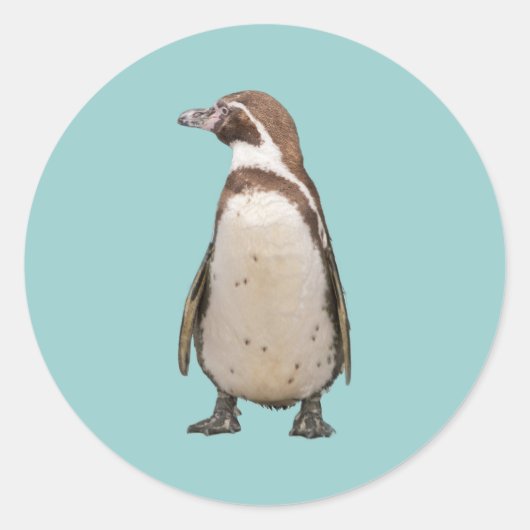 Pinguïn Ronde Sticker (Voorkant)