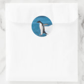 Pinguïn Springen Sticker (Tas)