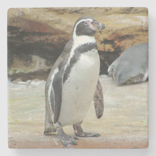 Pinguïn staat alleen stenen onderzetter