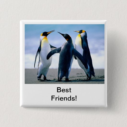 pinguïn vierkante button 5,1 cm (Voorkant)