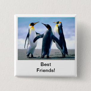 pinguïn vierkante button 5,1 cm