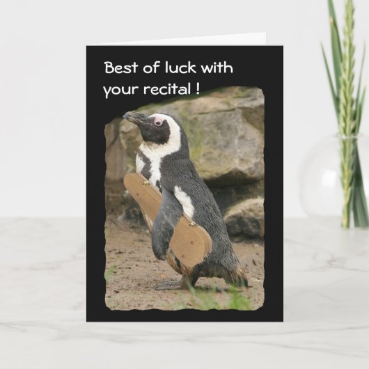 Pinguïn Viool Overweging, veel succes Kaart (Voorkant)