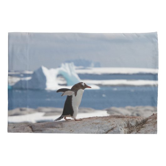 Pinguïn voor een ijsboog kussensloop (Achterkant)