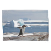 Pinguïn voor een ijsboog kussensloop (Voorkant)