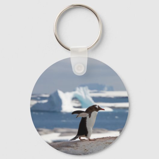 Pinguïn voor een ijsboog sleutelhanger (Voorkant)