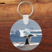 Pinguïn voor een ijsboog sleutelhanger (Voorkant)