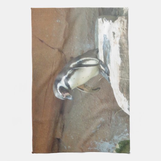 Pinguïn, wilde dieren, wilde vogels, dierentuin, z theedoek (Verticaal)